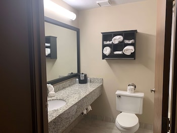 Suite, Multiple Beds, Non Smoking, Refrigerator & Microwave (with Sofabed)