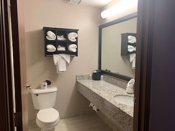 Standard Room, 1 King Bed, Non Smoking, Refrigerator & Microwave