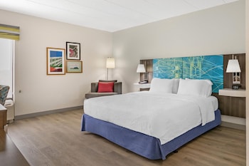 Room, 1 King Bed, Accessible