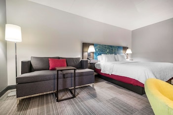 Room, 1 King Bed, Accessible, Non Smoking