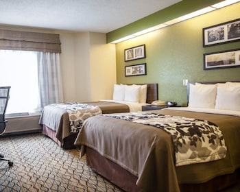 Standard Double Room, 2 Double Beds, Non Smoking