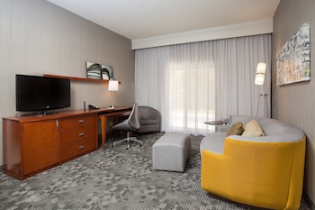 Room, 1 King Bed with Sofa bed