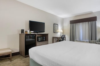 Standard Room, 1 King Bed, Non Smoking, Refrigerator & Microwave