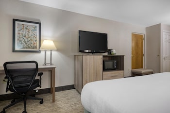 Standard Room, 1 King Bed, Accessible, Bathtub
