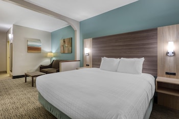 Suite, 1 King Bed, Non Smoking, Microwave