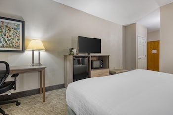 Standard Room, 1 King Bed, Accessible, Non Smoking