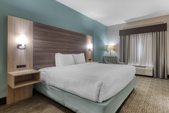 Standard Room, 1 King Bed, Accessible, Non Smoking