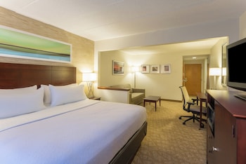 Standard Room, 1 King Bed