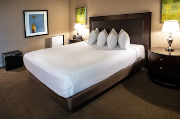 Deluxe Room, 1 King Bed, Non Smoking (Stay Well, ADA)