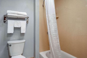 Standard Room, 2 Queen Beds, Non Smoking, Refrigerator & Microwave