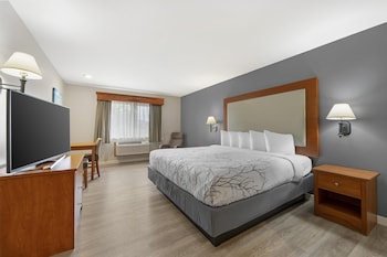Standard Room, 1 King Bed, Non Smoking, Refrigerator & Microwave