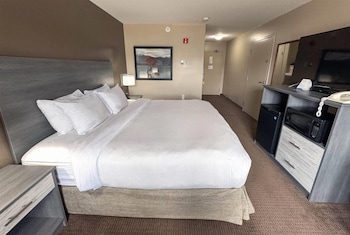 Room, 1 King Bed, Accessible, Non Smoking