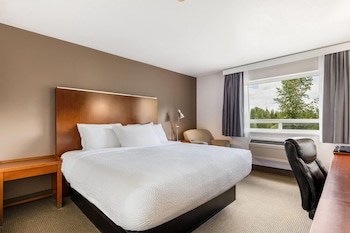 Room, 1 King Bed, Non Smoking