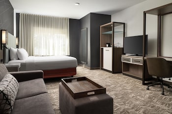 Suite, 1 King Bed with Sofa bed (Mobility/Hearing Access, Roll-in Shwr)