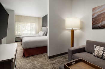 Suite, 1 King Bed with Sofa bed (Mobility/Hearing Access, Roll-in Shwr)
