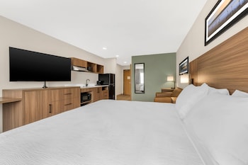 Suite, 1 King Bed, Non Smoking (Efficiency, Upgrade)