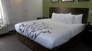 Room, 1 King Bed, Accessible, Ground Floor