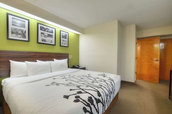Room, 1 King Bed, Accessible, Ground Floor