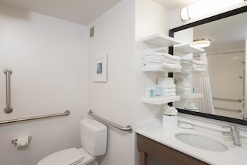 Room, 1 King Bed, Accessible, Microwave (Mobility and Hearing)