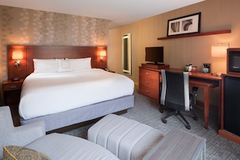 Room, 1 King Bed with Sofa bed (Mobility Accessible, Roll-In Shower)