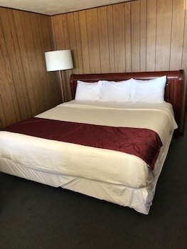Basic Single Room, 1 King Bed