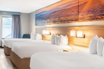 Room, Multiple Beds, Non Smoking