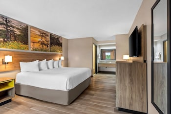 Room, 1 King Bed, Accessible
