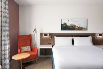 Room, 1 King Bed, Accessible, Roll In Shower