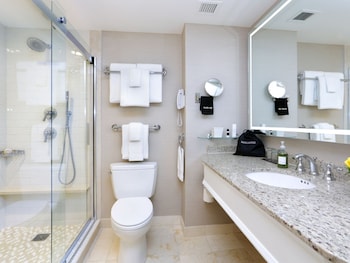 Suite (King Bed)