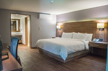 Suite, 1 King Bed
