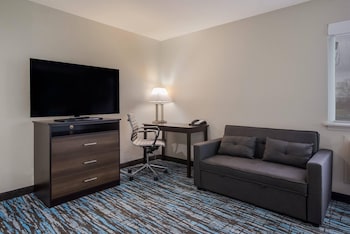 Suite, 1 King Bed with Sofa bed, Non Smoking