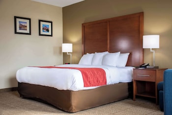Room, 1 King Bed, Accessible, Non Smoking