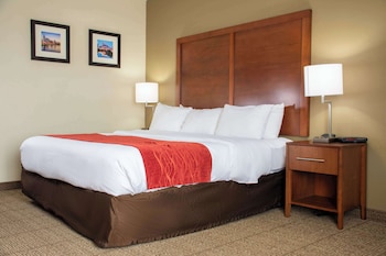 Room, 1 King Bed, Accessible, Non Smoking