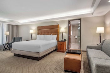 Room, 1 King Bed with Sofa bed (Sofa Sleeper)
