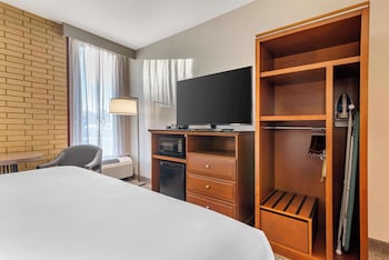 Room, 1 King Bed, Accessible (Roll in Shower)