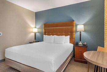 Room, 1 King Bed, Accessible (Roll in Shower)