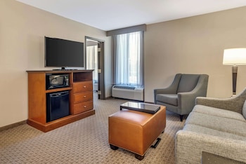 Suite, 1 King Bed with Sofa bed, Accessible (Sofa Sleeper, Tub, 2 Rooms)