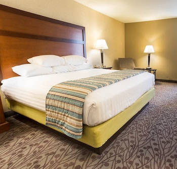Suite, 1 King Bed with Sofa bed, Accessible (Sofa Sleeper, Tub, 2 Rooms)