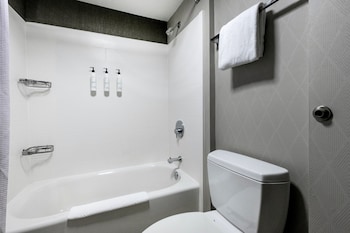 Suite, Multiple Beds (Hearing Accessible)