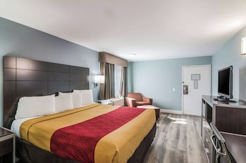 Room, 1 King Bed with Sofa bed, Non Smoking