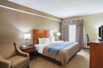 Standard Room, 1 King Bed, Non Smoking