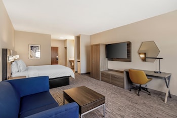 Standard Room, 1 King Bed with Sofa bed