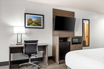 Suite, 1 King Bed, Accessible, Bathtub (Larger Room)