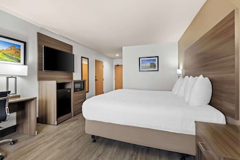 Standard Room, 1 King Bed, Accessible, Non Smoking (Roll-In Shower)
