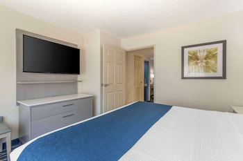 Room, 1 King Bed, Non Smoking, Refrigerator & Microwave