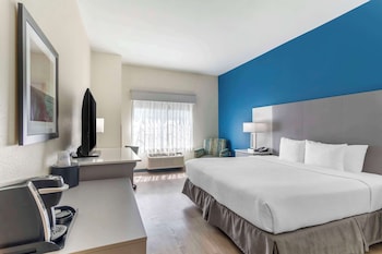 Standard Room, 1 King Bed, Accessible, Non Smoking
