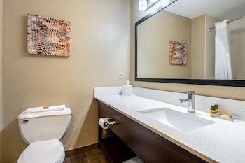 Standard Room, 1 King Bed, Accessible, Refrigerator & Microwave (Roll-In Shower)
