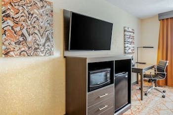 Standard Room, 1 King Bed, Non Smoking, Kitchenette