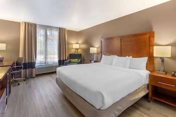 Room, 1 King Bed, Accessible, Non Smoking