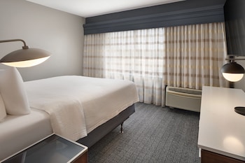 Suite, 1 King Bed with Sofa bed